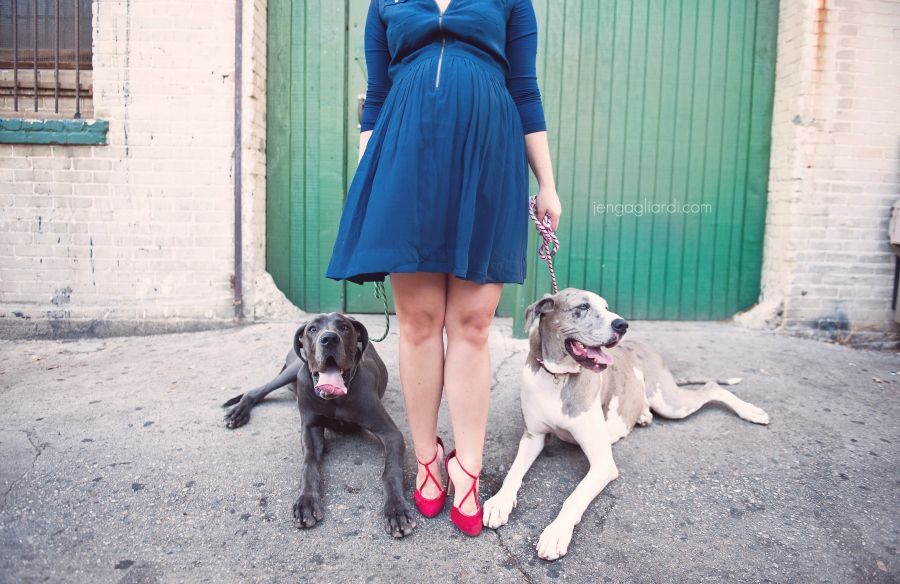 Um Pregnant With Great Danes Woohoo Photographing Babies