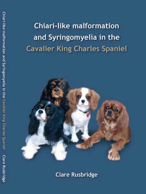 Phd thesis of dr chuck missler