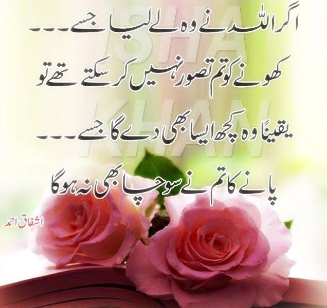 Pin on Image