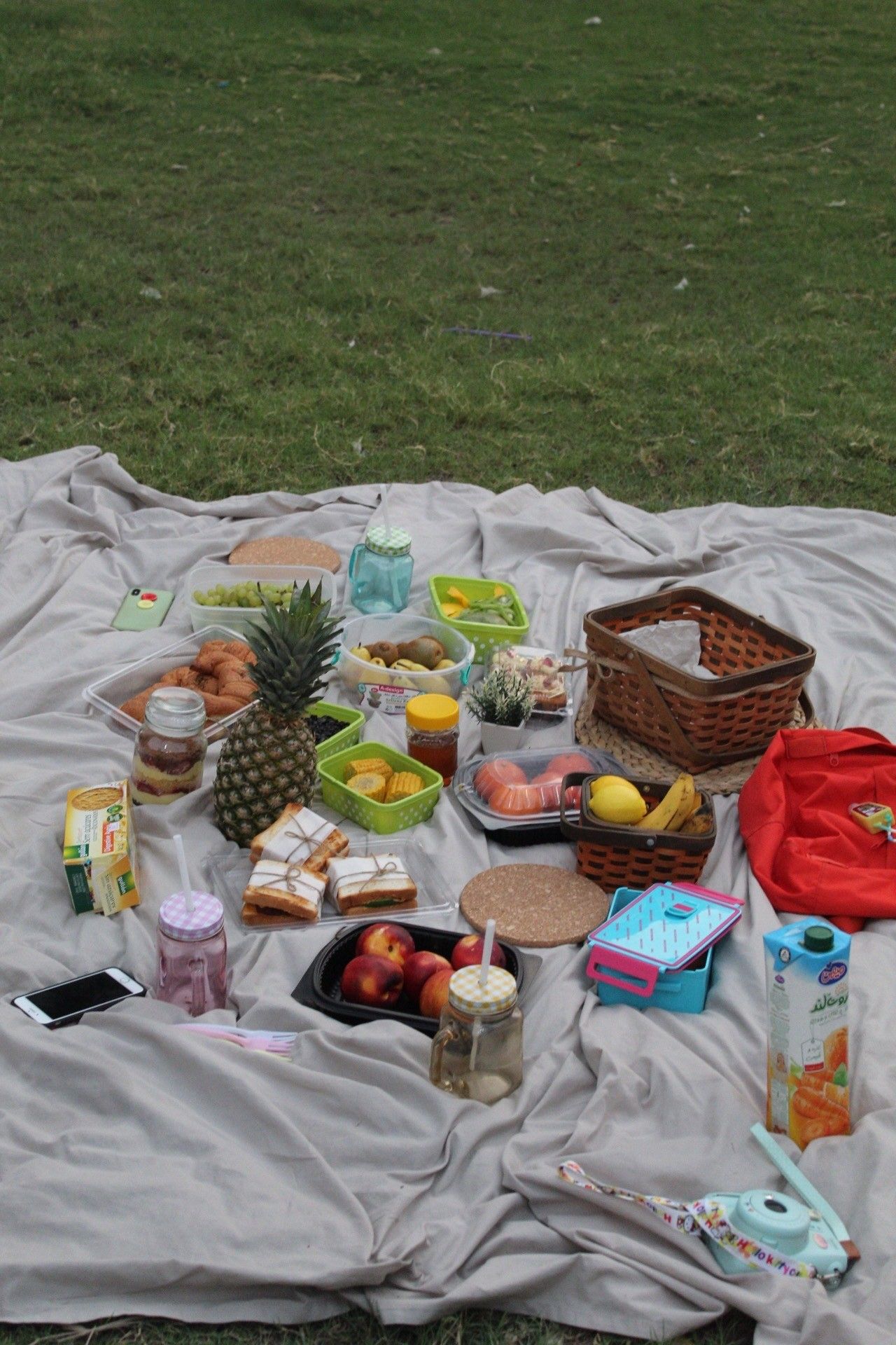 Pin by ð³ððððð on Imágenes | Picnic, Aesthetic food, Picnic blanket