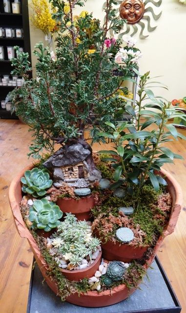 A Trolls Paradise, in a cut out clay pot.