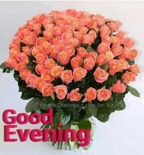 good evening bondhu evening pinterest good evening greetings