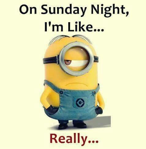 30 funniest minions memes funny minion, memes and funny memes b2d631a1ffd7ebe9b177781e4fe3afc7 30 funniest minions memes funny minion, memes and funny memes