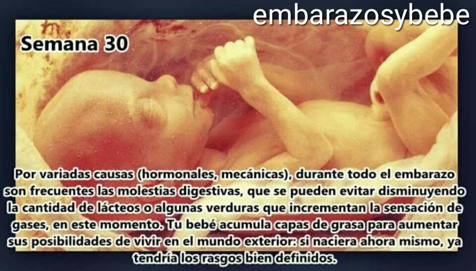 Como esta un bebe de 30 semanas