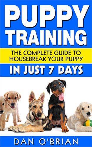 Pin By Vanessa Wanjiku On Dogs Puppies Golden Retriever Love