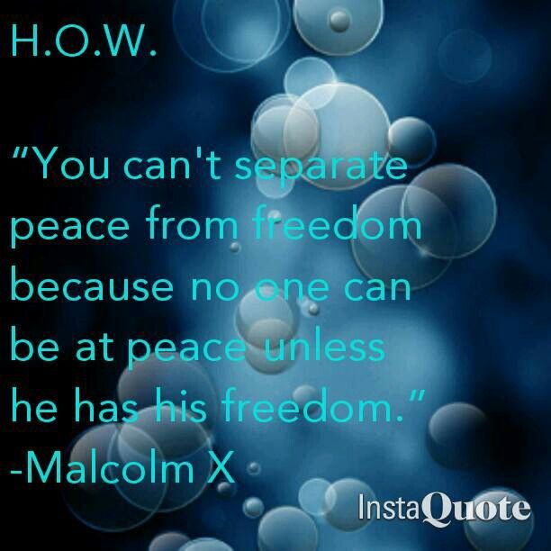 Malcolm x essay topics