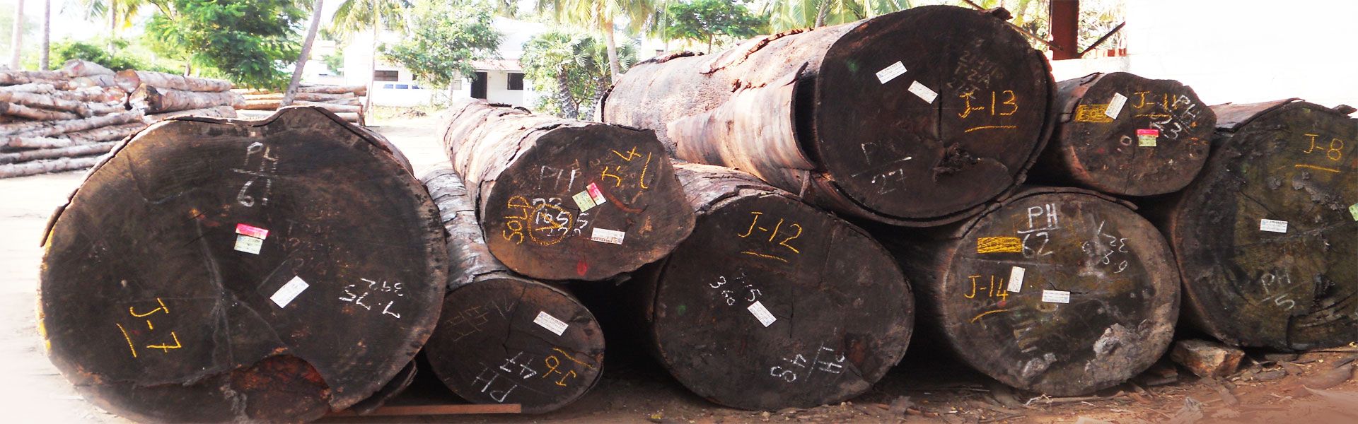 Teak Wood Suppliers In Tenkasi We Are One Of The Leading Teak Wood Teak Wood Suppliers In Tenkasi We Are One Of The Leading Teak Wood