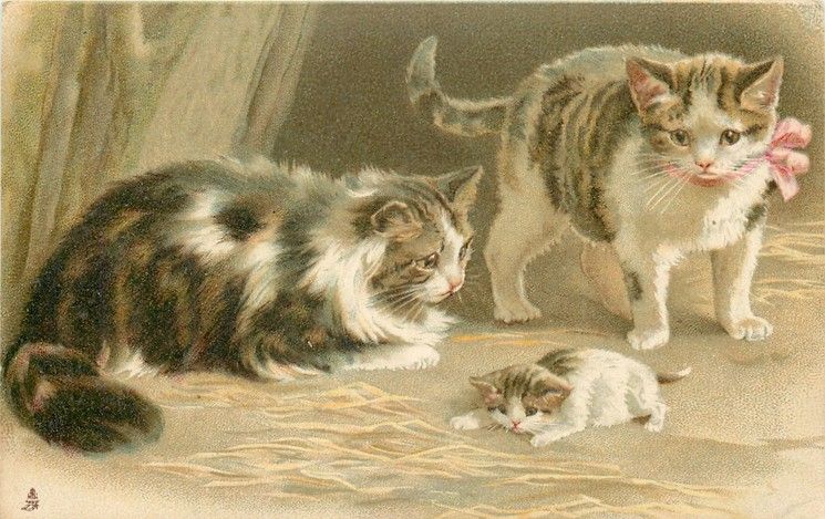long haired cat lying down, cat standing, looking at small kitten | Cats illustration, Cats, Kitten images long haired cat lying down, cat standing, looking at small kitten | Cats illustration, Cats, Kitten images