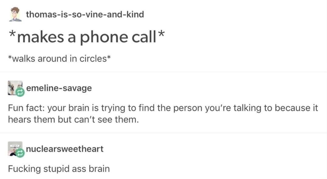 Dumbass Monkey Brain Tumblr Tumblr Funny Funny Tumblr Posts