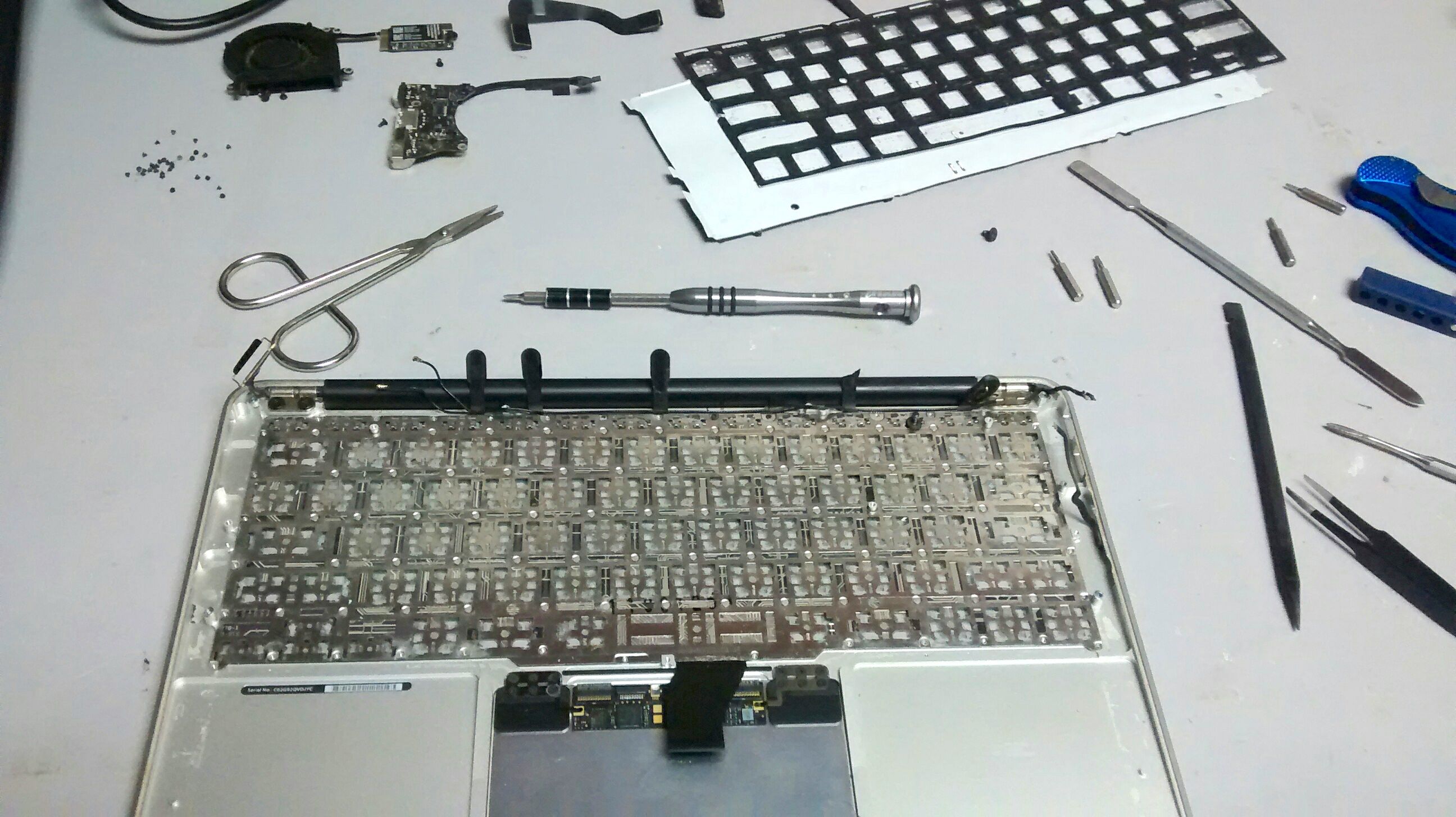 mac wireless keyboard not working after cleaning mac wireless keyboard not working after cleaning