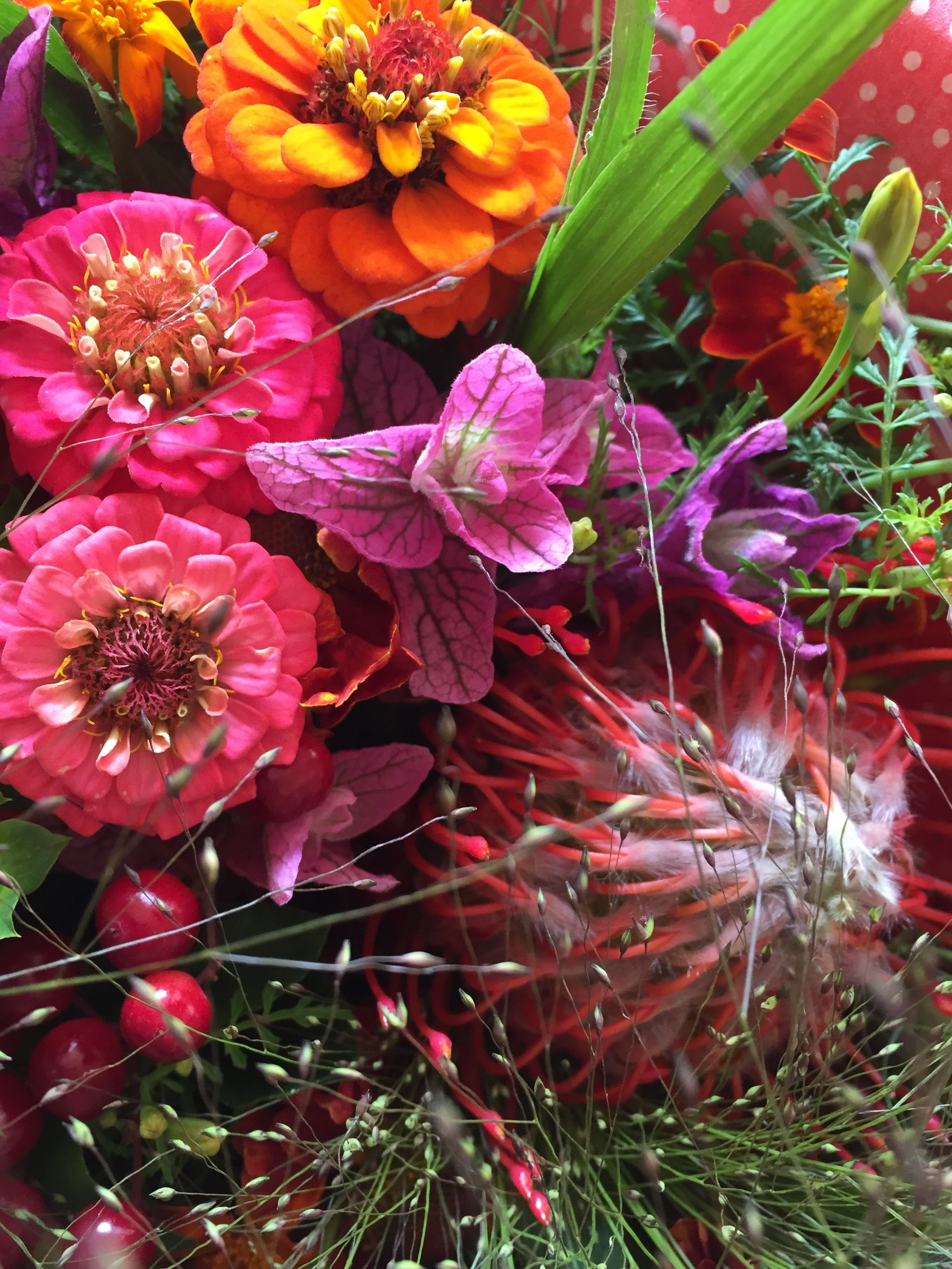 bring blomster ud bring blomster ud