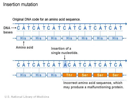 Amino Acids Chart Biology Diagrams How To Memorize Things Education Templates