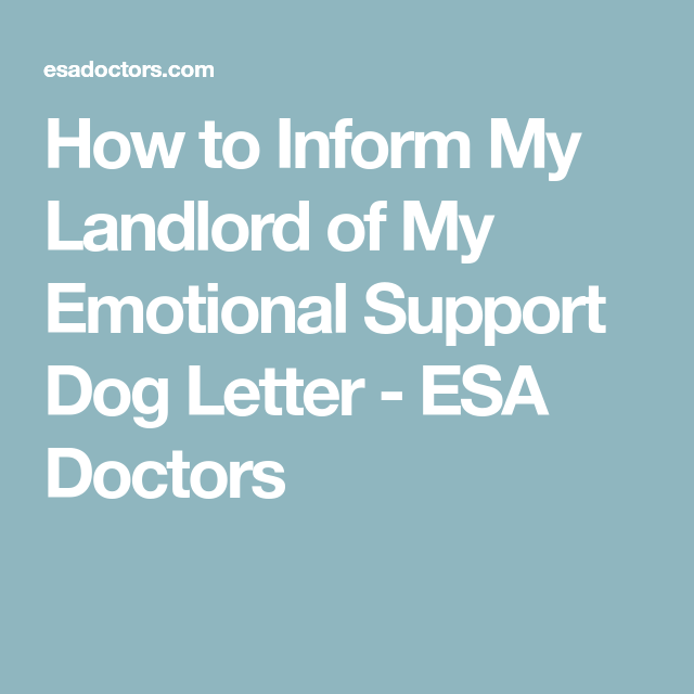 how to inform my landlord of my emotional support dog letter esa emotional support animal letter to landlord