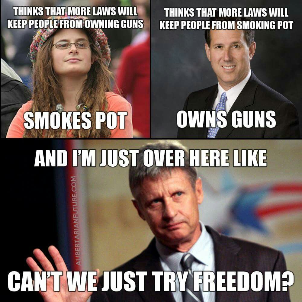 best 25 gary johnson political views ideas on pinterest johnson b36c04617b0cffbaf930b77c0df1e3b8 best 25 gary johnson political views ideas on pinterest johnson