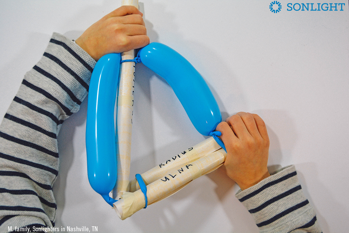 Build a Working Arm Muscle: A Science Activity Tutorial ...