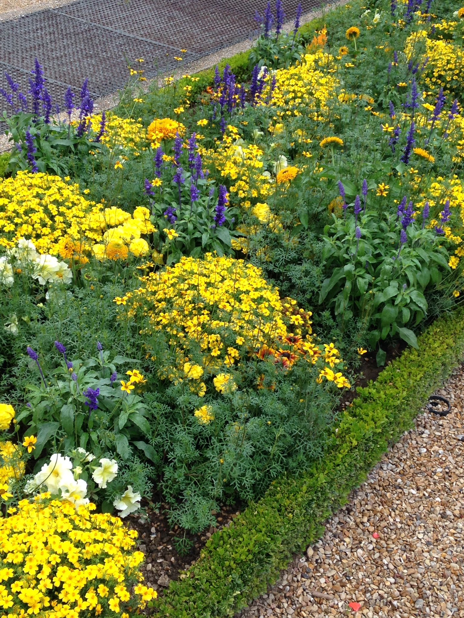Luxembourg Gardens Perfect Combination Of Easy To Grow Plants Marigolds, Luxembourg Gardens Perfect Combination Of Easy To Grow Plants Marigolds,
