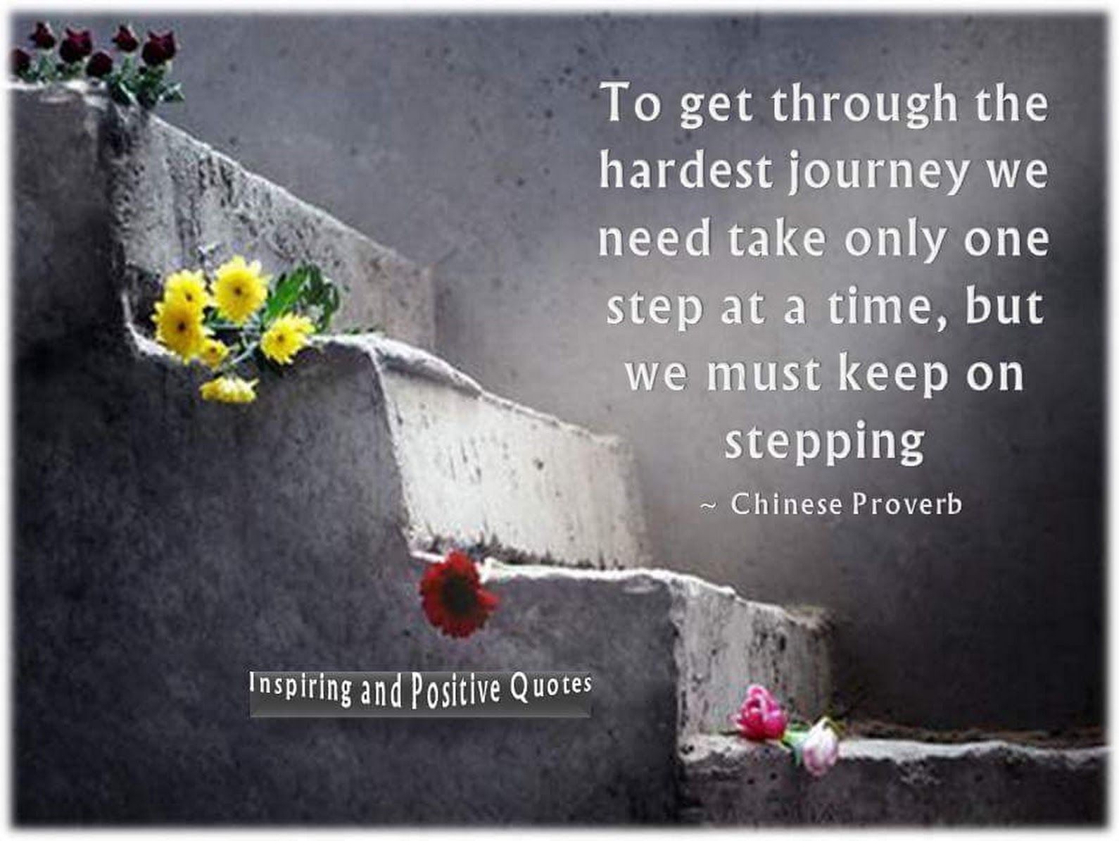 Ali Joker Funny Inspirational Quotes Inspiring Quotes About Life