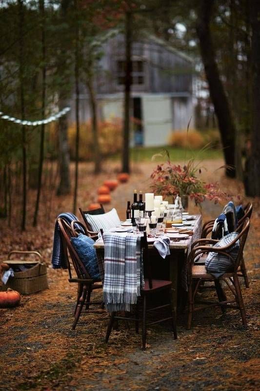 Friendsgiving Outdoor Thanksgiving Thanksgiving Dinner Decor Dinner Decoration