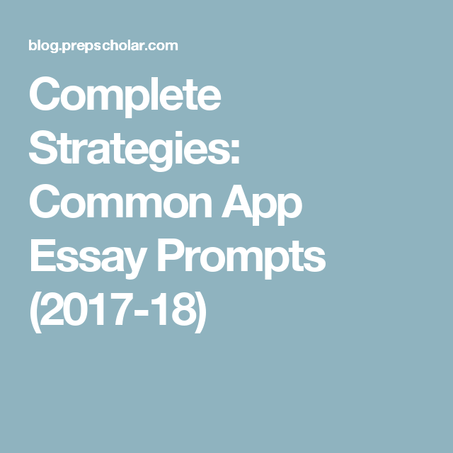 Common app essays 2013