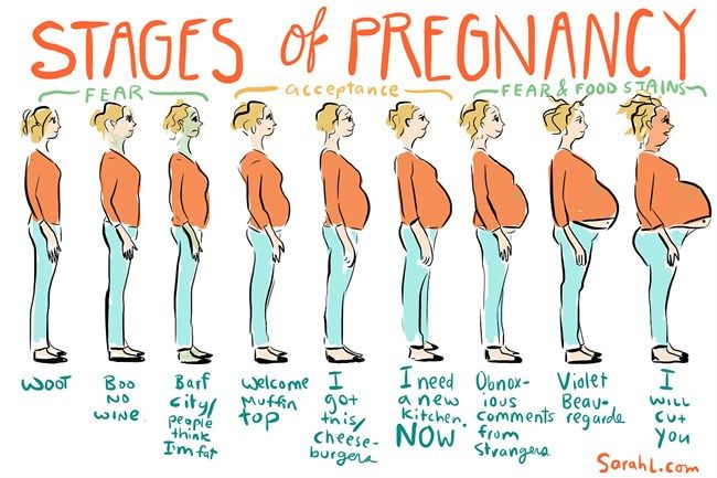 afternoon laugh funny stages of pregnancy chart pregnancy stage pregnancy stages chart