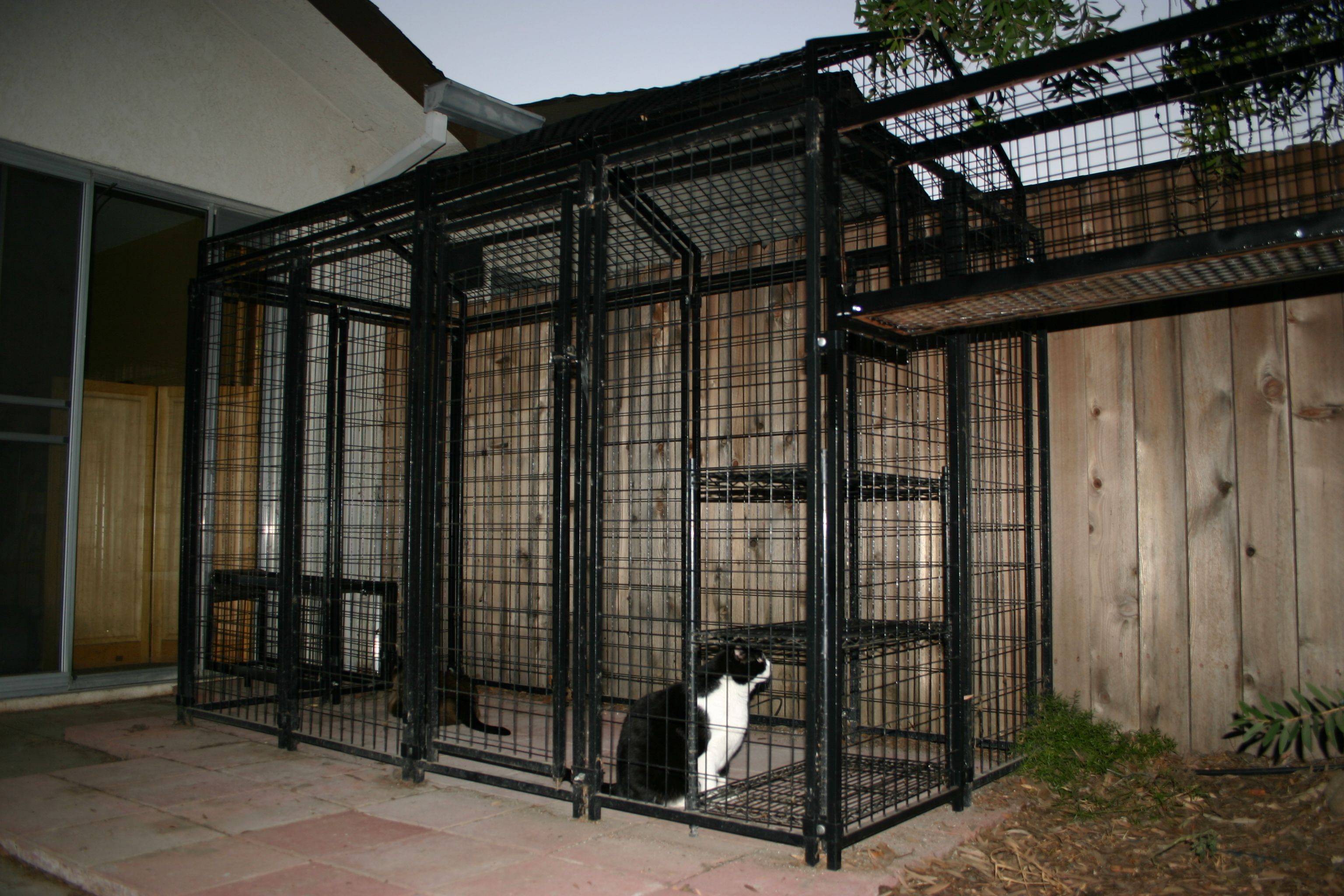 Outdoor Pet Enclosure Cat Enclosure Great Cat Cat Love Outdoor Cat outdoor-pet-enclosure-cat-enclosure-great-cat-cat-love-outdoor-cat