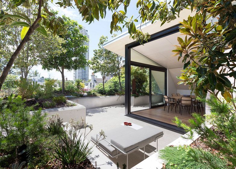 Rooftop Garden Terrace Co Ap Creates Rooftop Oasis For A Sydney Penthouse Penthouse Garden Rooftop Garden Apartment Garden