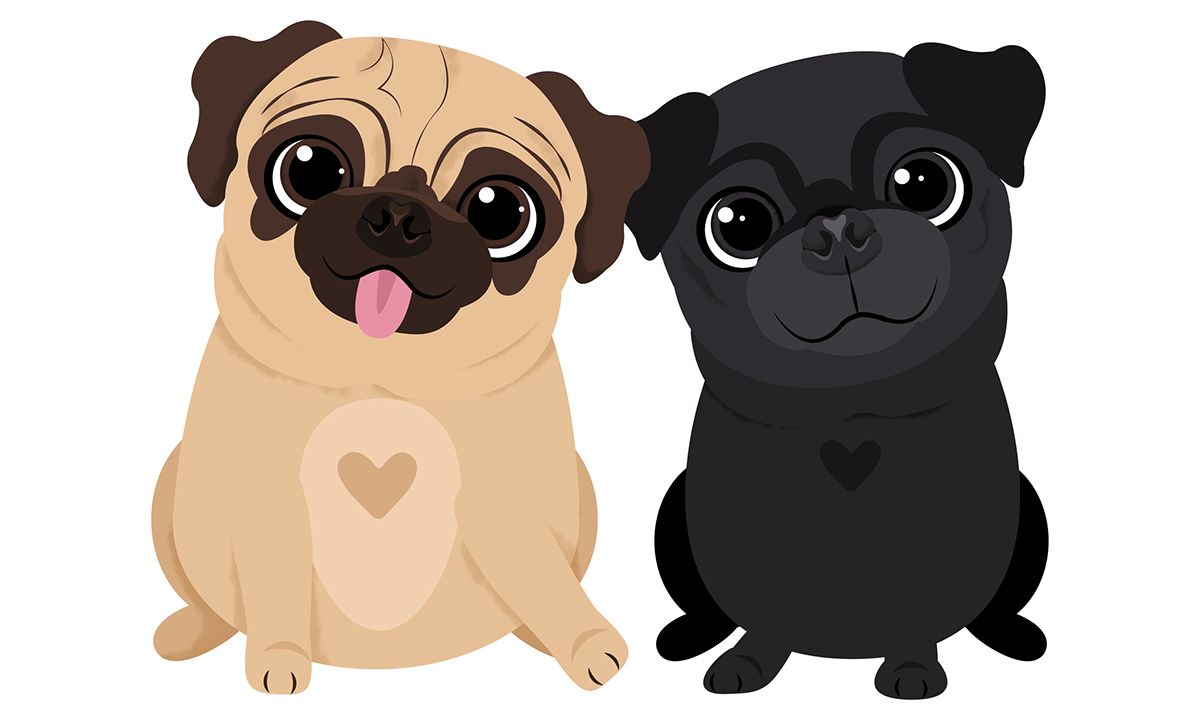 Illustrated Fifteen Pugs For Use In A Card Game In New Zealand