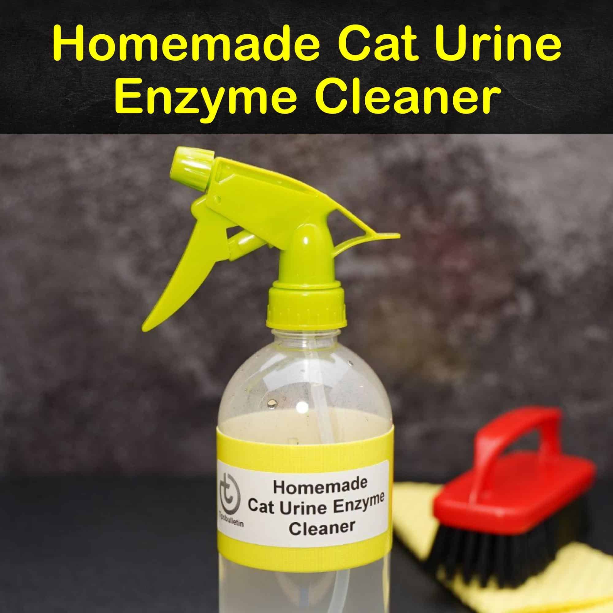 Pin On Homemade House Cleaners air Fresheners