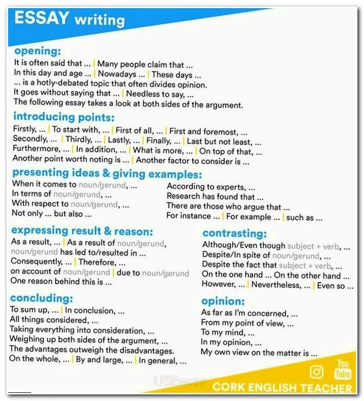 Examples Of High School Essays English Essay Writer also Universal Health Care Essay Essay Essaywriting Methodology Of Project Example Example Expository Essay