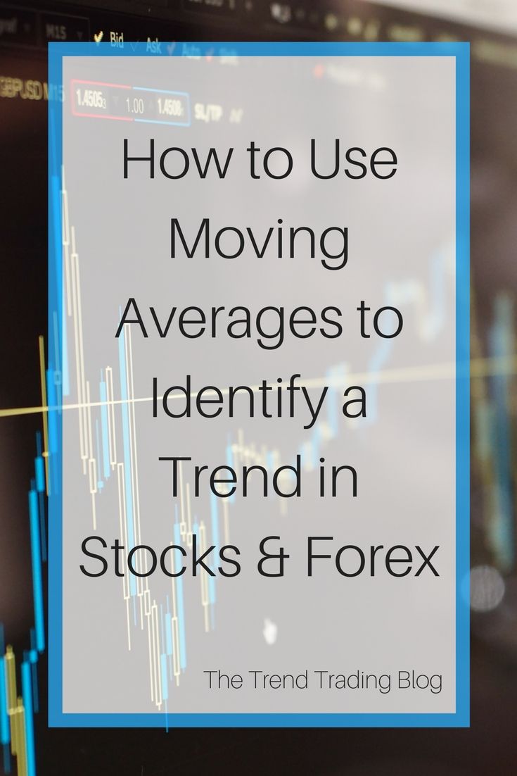 Which is more profitable stocks or forex