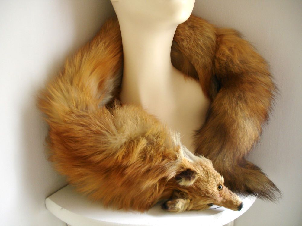Vintage 1930 S Fox Fur Stole Shawl With Fox Head And Paws Goodwood Vintage Outfits Fur Stole Fur