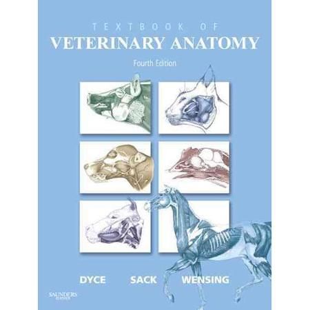 Download Textbook of Veterinary Anatomy - Walmart.com | Anatomy ...