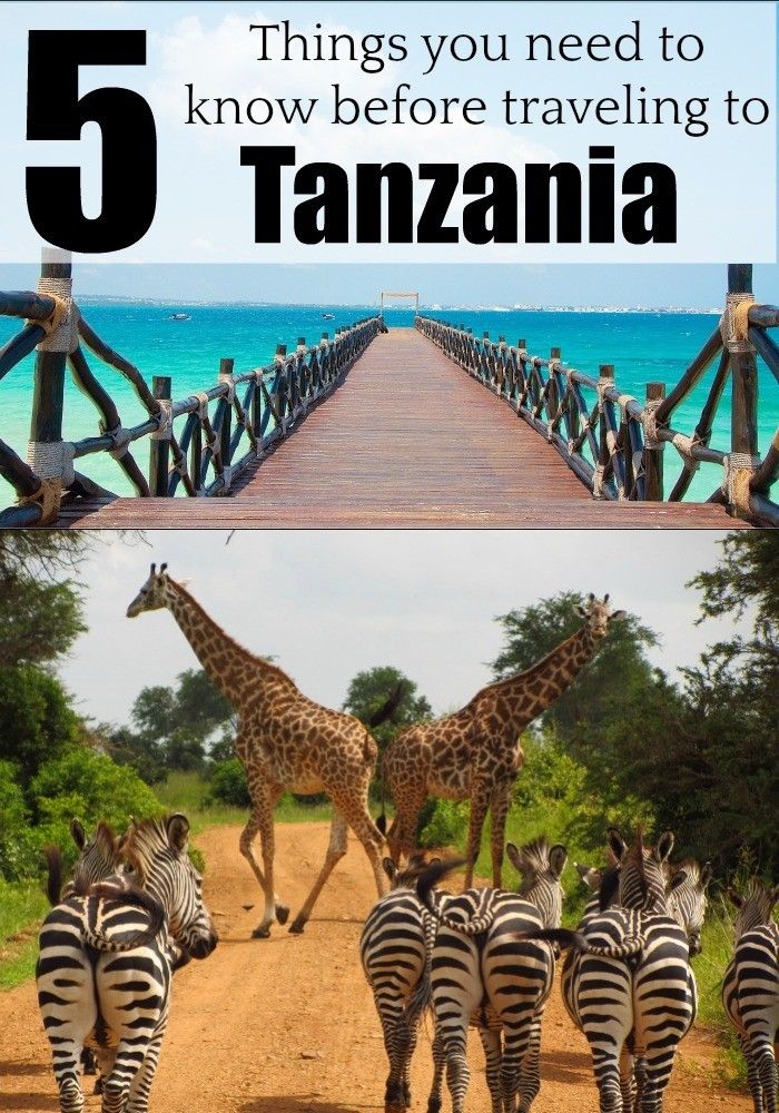 5 Things You Need to Know Before Traveling to Tanzania - Love & Road