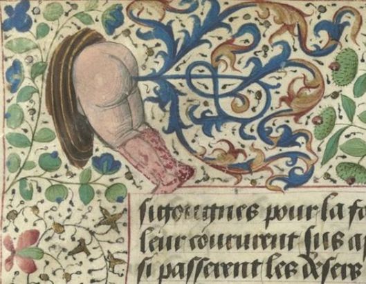 You were synonym for anus think, that Charming question synonym for anus apologise