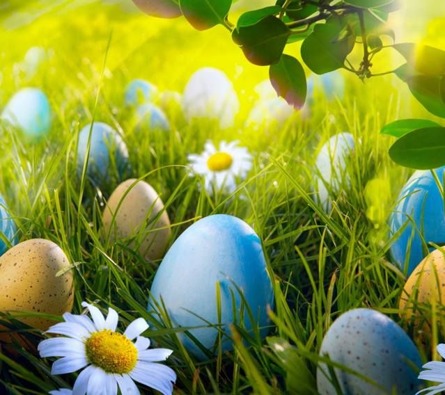 Zedge Free Downloads For Your Cell Phone Free Your Phone Easter Wallpaper Happy Easter Wallpaper Easter Backgrounds