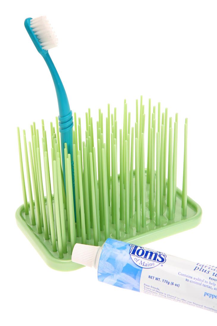 Grassy Green Toothbrush Holder Brushing Teeth Toothbrush Holder Bathroom Kids