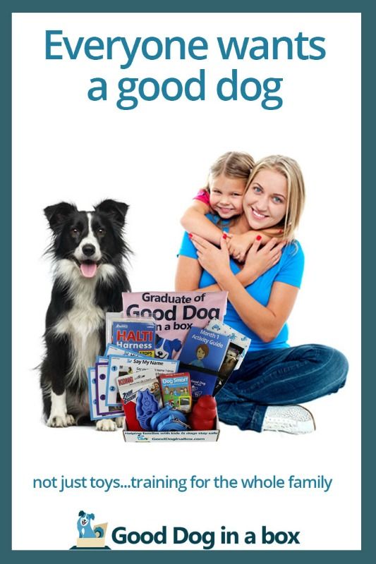 For Reward Based Training Dog Training Best Dogs Your Dog