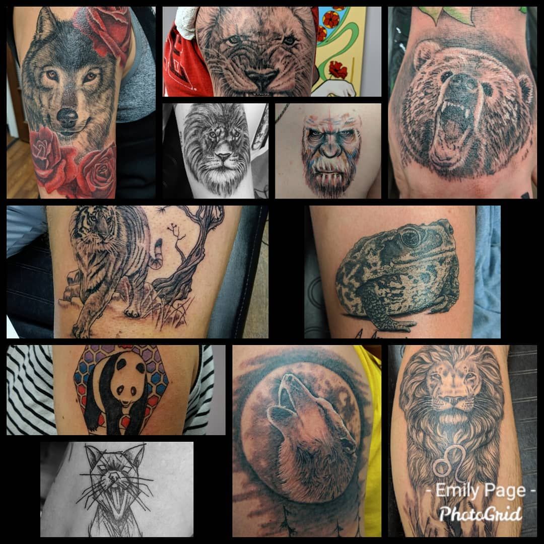 Lions And Tigers And Bears And A Bunch Of Other Creatures Love Doing Animal Tattoos Animaltattoo Animaltattoos T Animal Tattoos Nc Tattoo Animal Tattoo