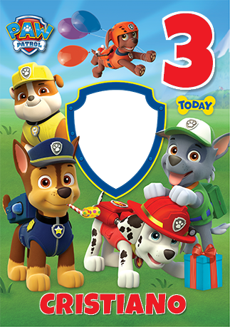 Paw Patrol 6th Birthday Kaart Paw Patrol Birthday Decorations