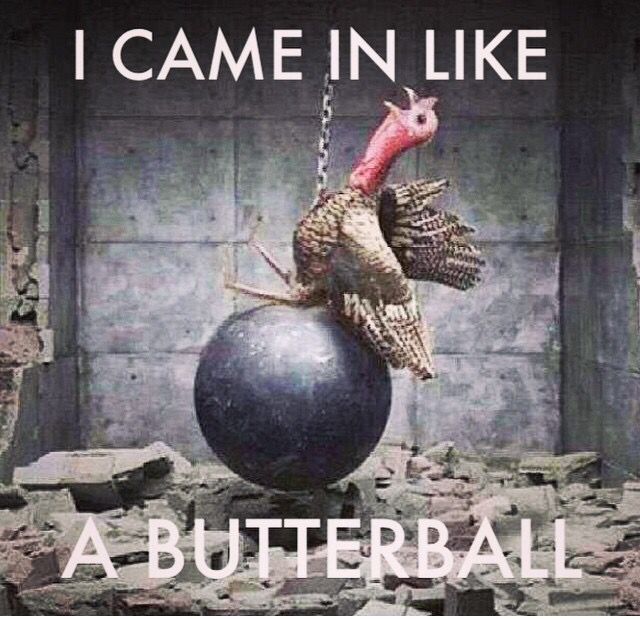 Gobble Gobble Funny Thanksgiving Memes Thanksgiving Pictures Happy Thanksgiving Thanksgiving