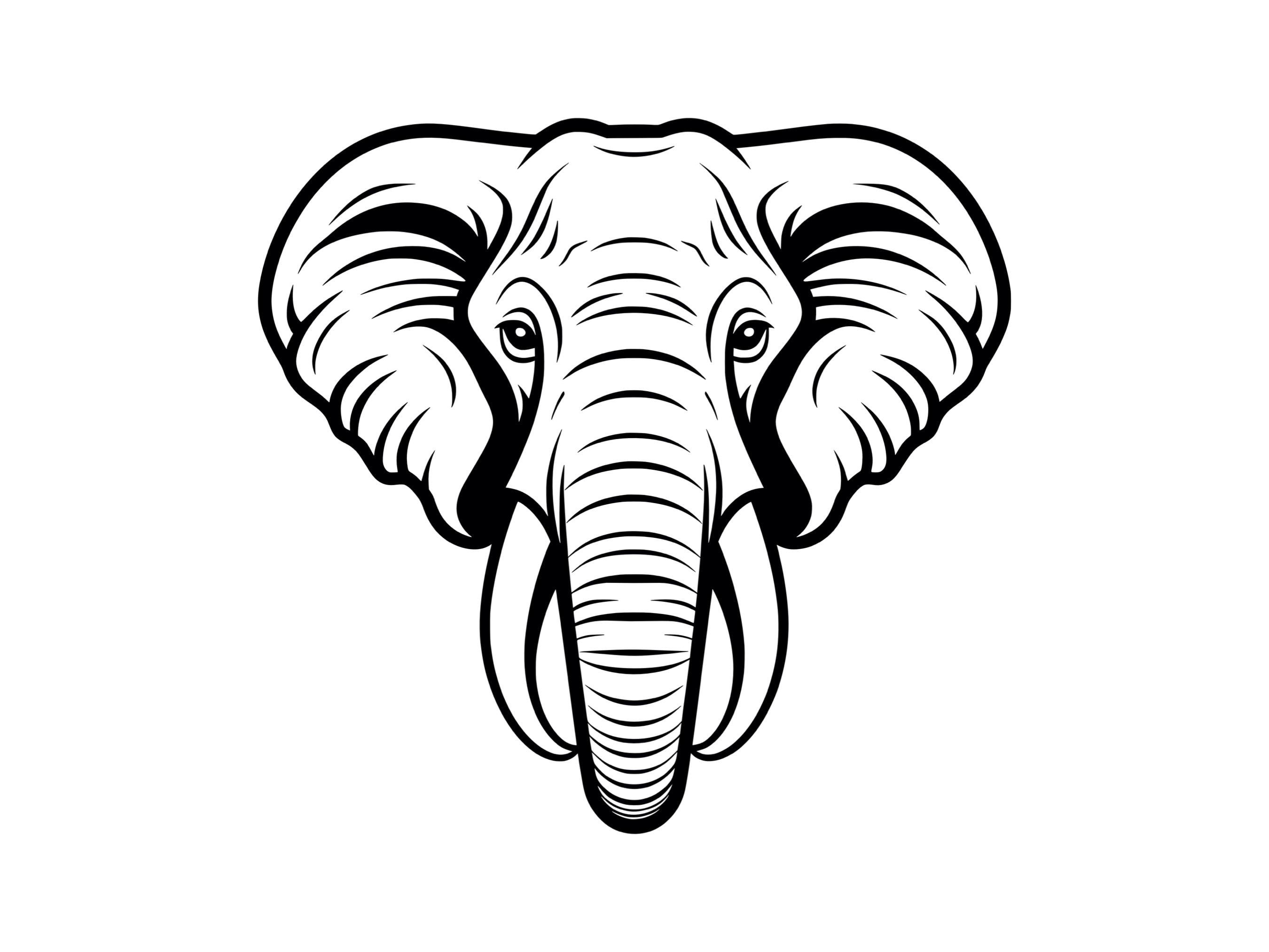 Elephant Head SVG African Safari Animals Elephant Tusks Etsy In 2024 B46fae08c8d9b7f698b84c438f8db2cf