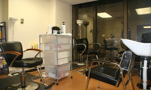 Head Lice Treatment - Treatment of Head Lice Removal Services DC, MD, VA | Advice on Lice #headlicetreatment Head Lice Treatment - Treatment of Head Lice Removal Services DC, MD, VA | Advice on Lice #headlicetreatment Head Lice Treatment - Treatment of Head Lice Removal Services DC, MD, VA | Advice on Lice #headlicetreatment Head Lice Treatment - Treatment of Head Lice Removal Services DC, MD, VA | Advice on Lice #headlicetreatment
