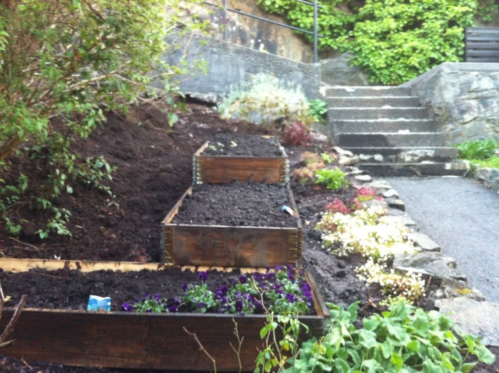 Pallet Collars Raised Beds For Flowers Pallet Collars Raised Beds For Flowers