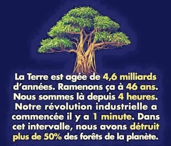 Partage Of Annie Hierro Izaguirre On Facebook Citations Par Type D Emotions Citation Citations De Realite Partage Of Annie Hierro Izaguirre On Facebook Citations Par Type D Emotions Citation Citations De Realite