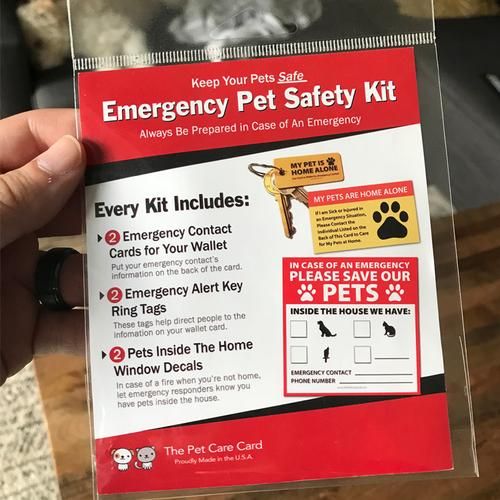 Emergency Pet Safety Kit (With images) Pet safety, Safety kit, Pet
