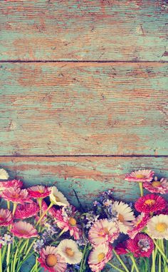 Pin By Nancy FV On Wallpaper Pin By Nancy FV On Wallpaper