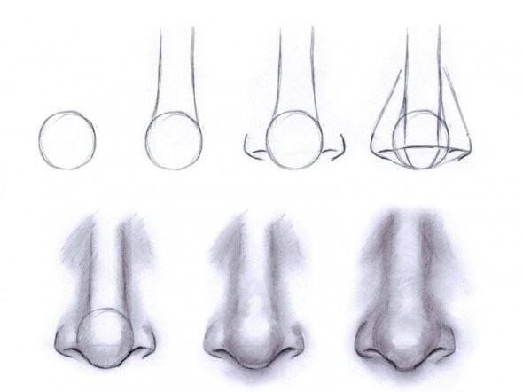 Pin By Gema González On Ilustración Nose Drawing Drawings Sketches