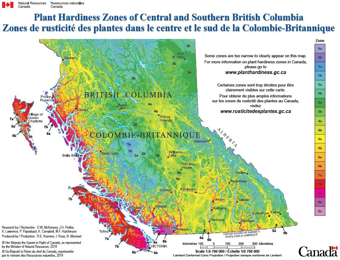Plant Hardiness British Columbia Yahoo Canada Search Results