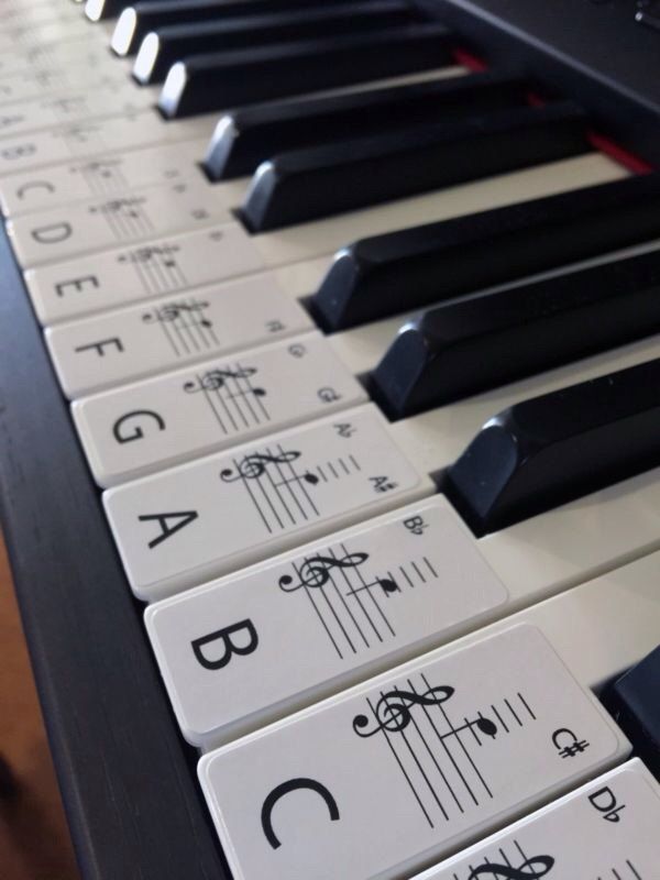 It's just a graphic of Versatile 61 Key Piano Labeled It is an image of Versatile 61 Key Piano Labeled