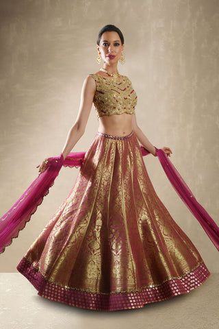 The Peach Magnolia Lehenga Set – WaliaJones Organza Lehenga, Half Saree Lehenga, Sarees, Indian Bridal Outfits, Pakistani Outfits, Indian Women Painting, Mirror Work Blouse, Net Skirt, Net Blouses